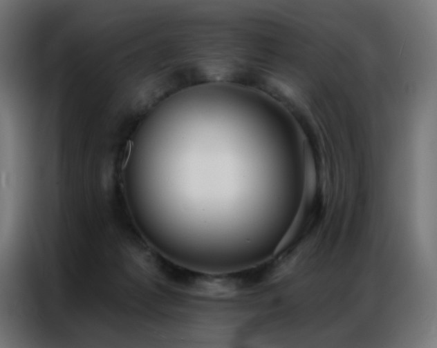 X0000086930221200704161431