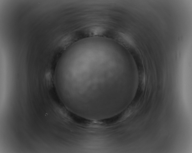 X0000086930222200704161431