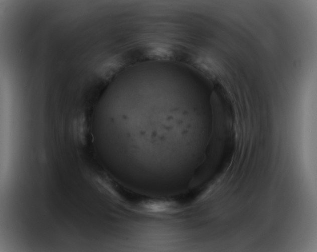 X0000086930223200704161431