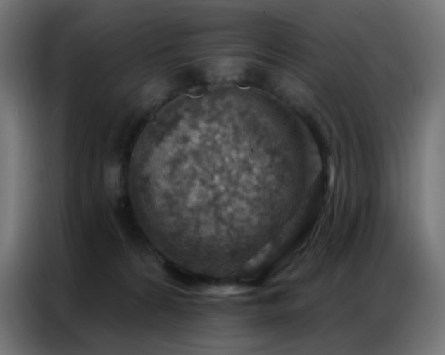 X0000086930224200704161431