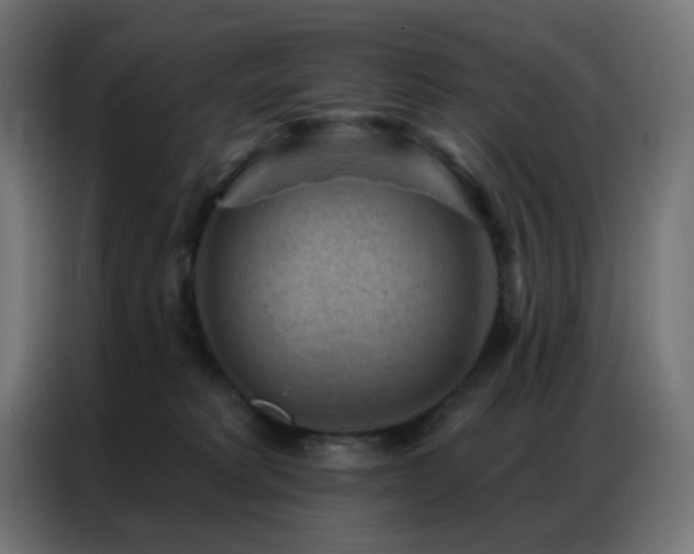 X0000086930229200704161431