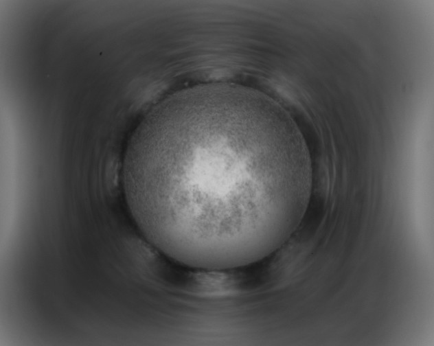 X0000086930230200704161431