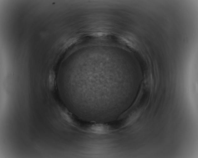 X0000086930231200704161431