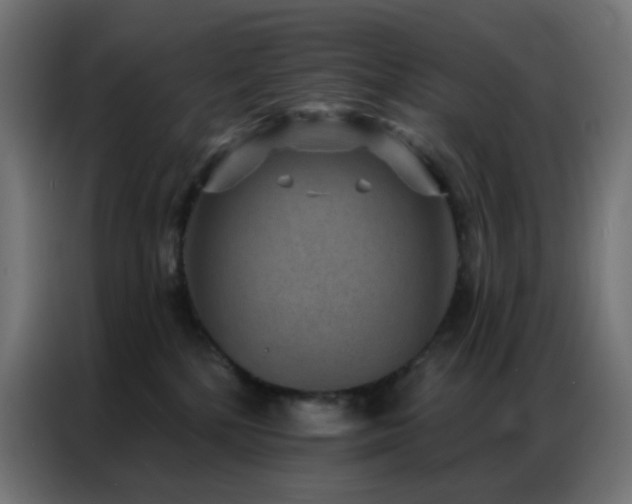 X0000086930232200704161431