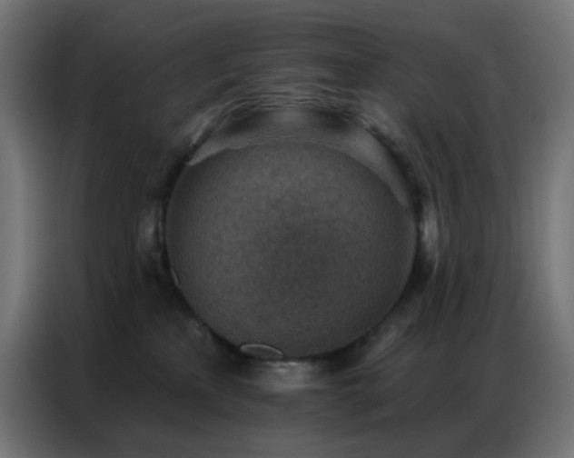 X0000086930233200704161431