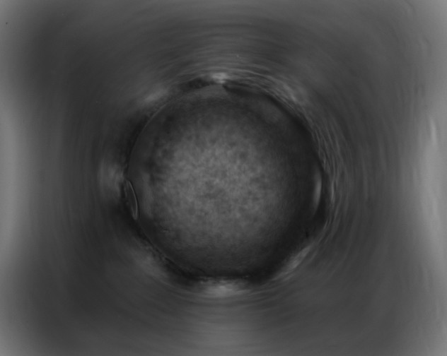 X0000086930235200704161431