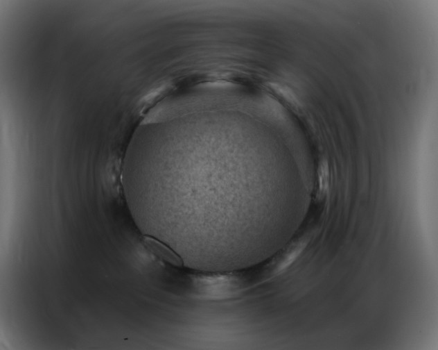 X0000086930237200704161431