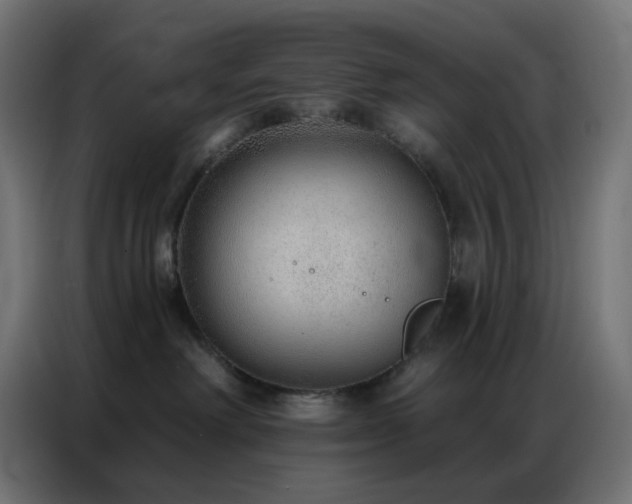 X0000086930238200704161431