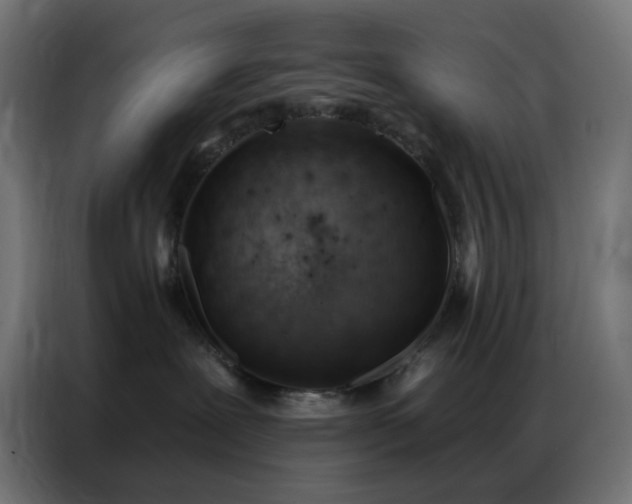 X0000086930239200704161431