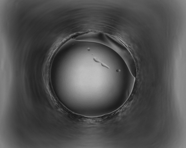 X0000086930241200704161430