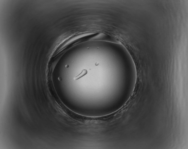 X0000086930242200704161430