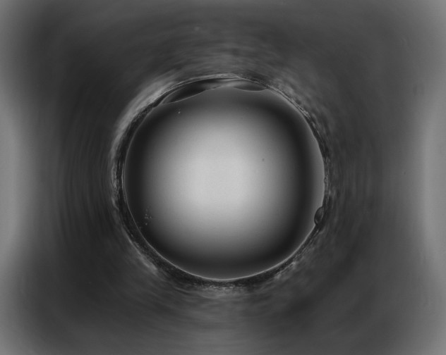 X0000086930245200704161430