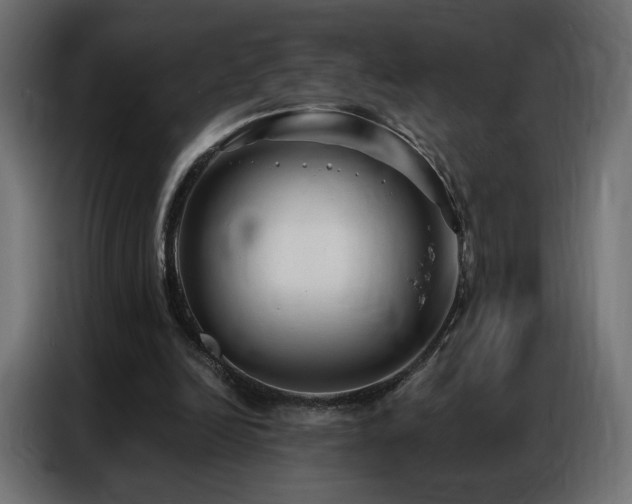 X0000086930246200704161430