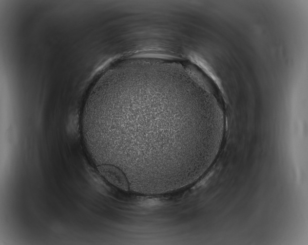 X0000086930249200704161430