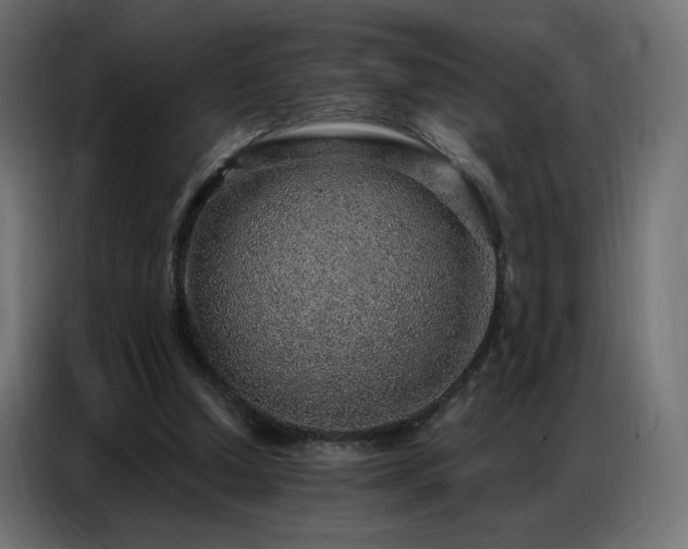 X0000086930250200704161430