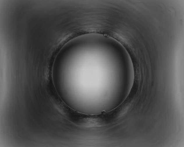 X0000086930255200704161430