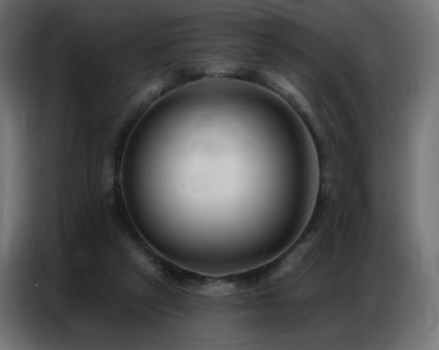 X0000086930257200704161430