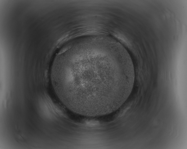 X0000086930258200704161430