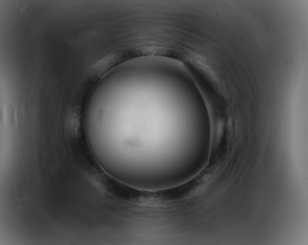 X0000086930259200704161430