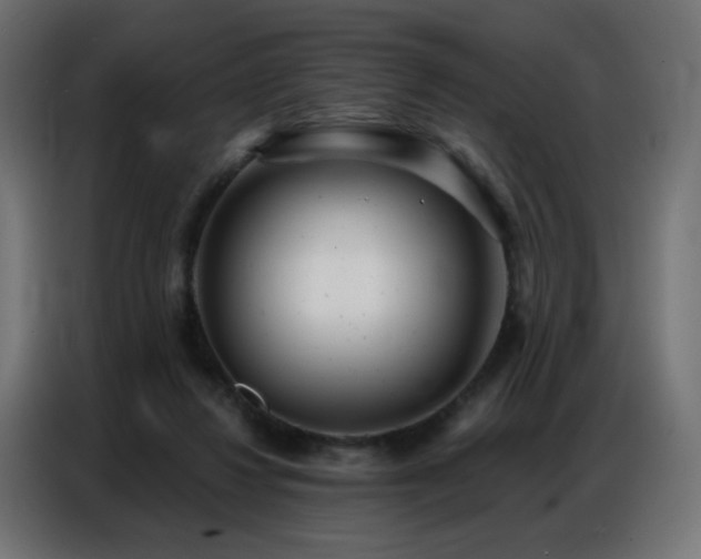 X0000086930260200704161430