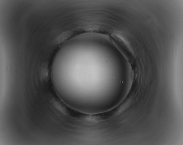 X0000086930261200704161430