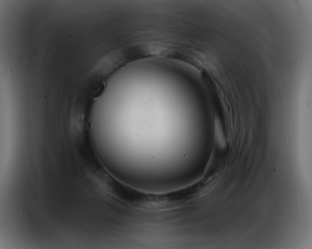 X0000086930263200704161430