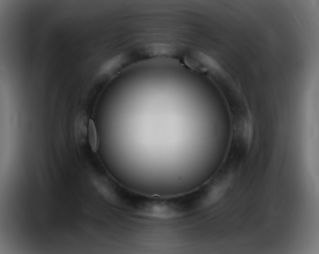 X0000086930264200704161430