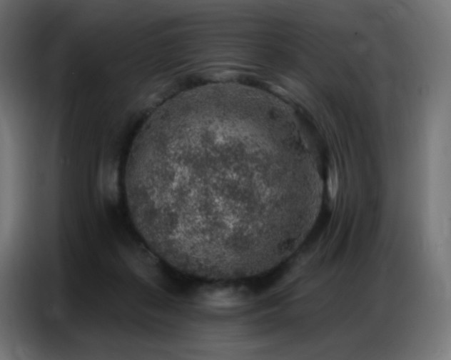 X0000086930267200704161430