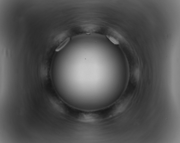 X0000086930268200704161430