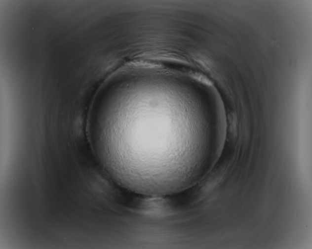 X0000086930269200704161430