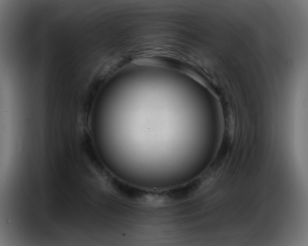 X0000086930272200704161431