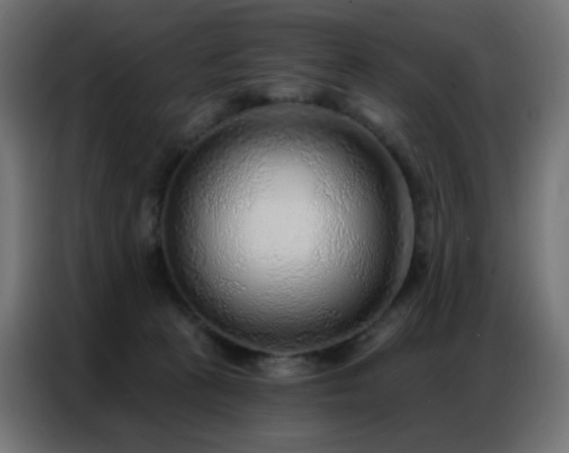 X0000086930273200704161431