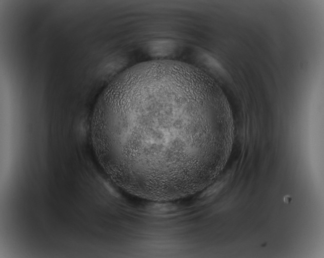 X0000086930277200704161431