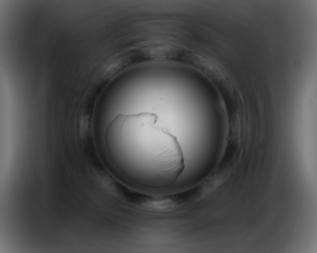 X0000086930278200704161431