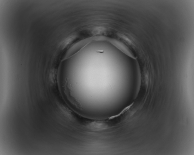 X0000086930280200704161431