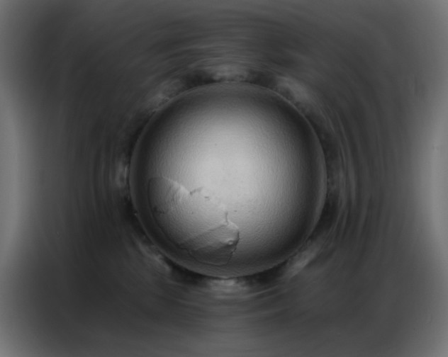 X0000086930281200704161431