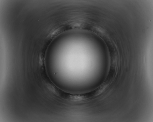 X0000086930282200704161431