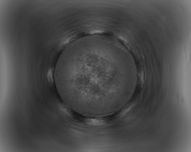 X0000086930286200704161431