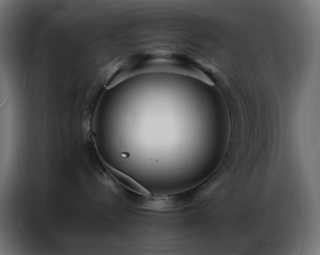 X0000086930288200704161431