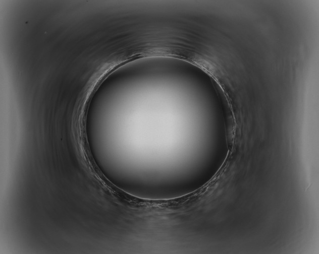 X0000086930289200704161430