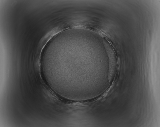 X0000086930290200704161430