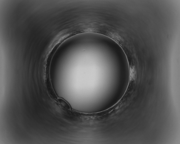 X0000086930291200704161430