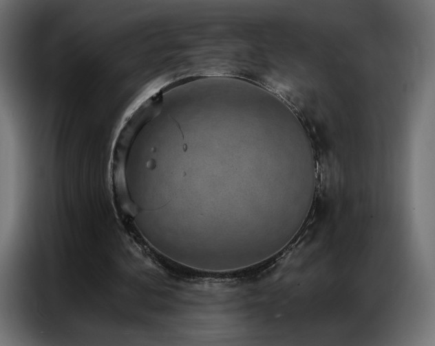 X0000086930292200704161430