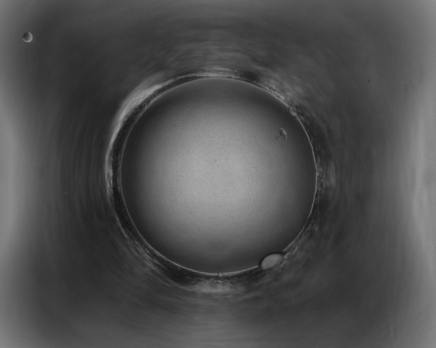 X0000086930294200704161430