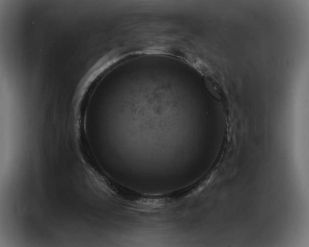 X0000086930295200704161430