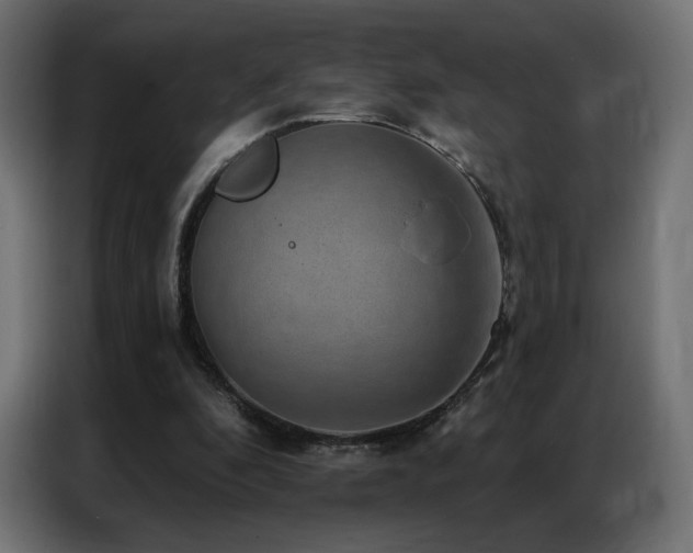 X0000086930296200704161430