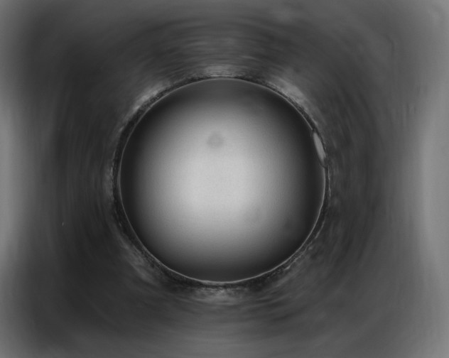 X0000086930297200704161430