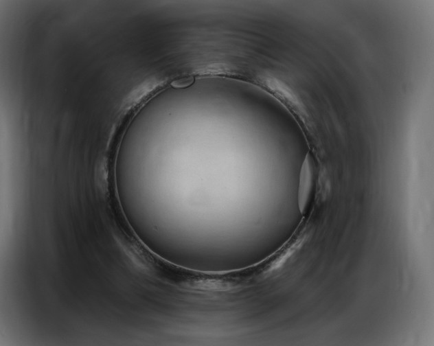 X0000086930298200704161430