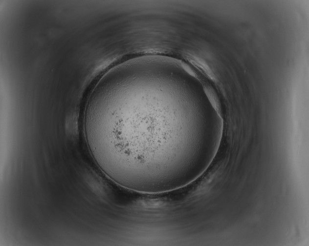 X0000086930299200704161430