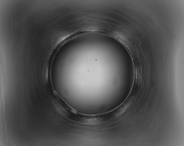 X0000086930301200704161430